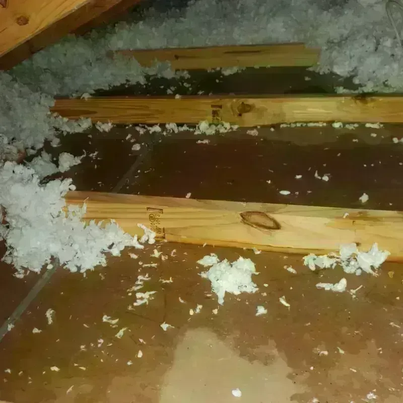 Attic Water Damage in North Fort Lewis, WA